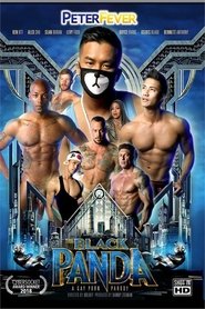Poster The Black Panda 1 2019