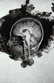 Inside the Criminal Mind постер