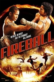 Fireball (2009) Movie Download & Watch Online WebRip 480p, 720p & 1080p