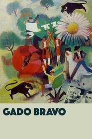 Poster Gado Bravo