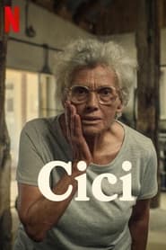 Cici (2022) Full Movie Dual Audio English-Turkish Netflix WebDL 480p 720p 1080p