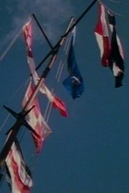 Poster Un cirque sur le fleuve 1993