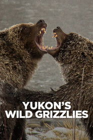 Yukon's Wild Grizzlies (2021)