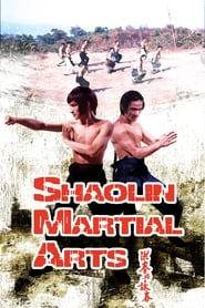Poster Shaolin Martial Arts 1974