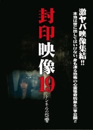 Poster 封印映像19 トンネルの怨響