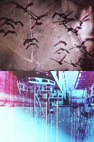 Poster Deliquium 2003