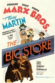 The Big Store постер