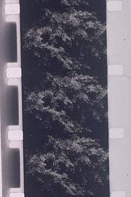 Plotting the Grey Scale: 2 or 3 Quick Traverses