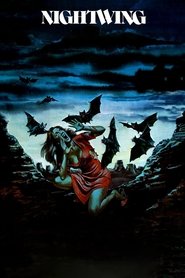 Poster Nightwing 1979