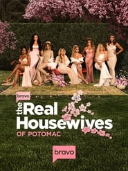 The Real Housewives of Potomac постер