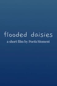 flooded daisies (2022)