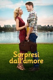 Sorpresi dall'amore