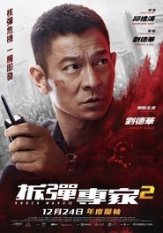 Shock Wave 2 (2020) Hindi Dubbed