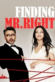 Poster for Finding Mr. Right