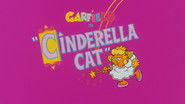 Cinderella Cat