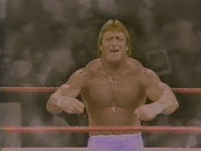 November 22, 1986 - Superstars of Wrestling #12