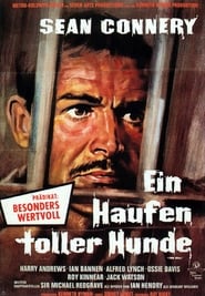 Ein‧Haufen‧toller‧Hunde‧1965 Full‧Movie‧Deutsch