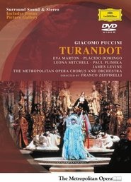Poster Turandot 1987