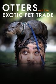 Otters and the Exotic Pet Trade 2019 Бесплатан неограничен приступ