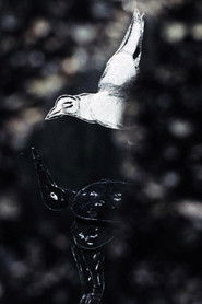 Der lange Weg (1990)