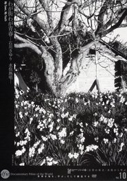 My Town, My Youth (1978)