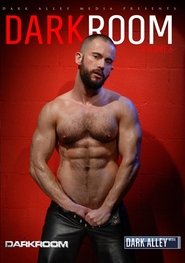 Poster DarkRoom 6 2014