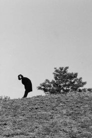 Il vecchio dentro (1992)