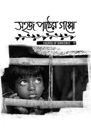 Poster Colours of Innocence 2016