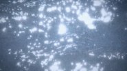Microcosmos