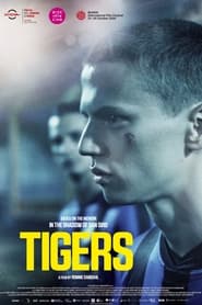 Tigers постер