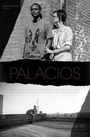 Poster Palacios 2017