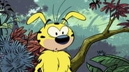 Marsupilami en streaming