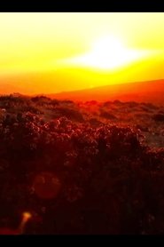 Todos tienen algo Desierto (2011)