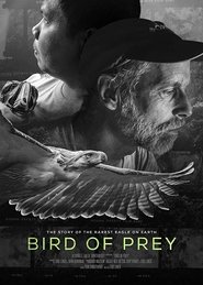 Bird of Prey streaming