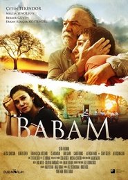 Babam 2017 映画 吹き替え