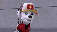 Big Truck Pups: Pups Stop a Flood