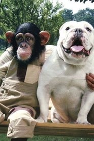 MongoDB.Entities.FuzzyString