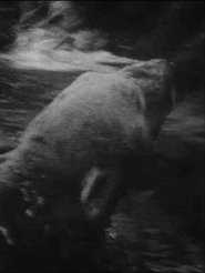 Poster Eisbär 1993