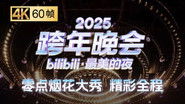 2025bilibili最美的夜跨年晚会