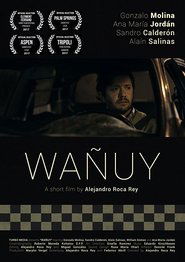 Wañuy