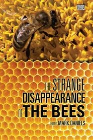 Poster The Strange Disappearance of the Bees 2010