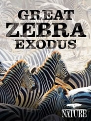 Nature: Great Zebra Exodus streaming