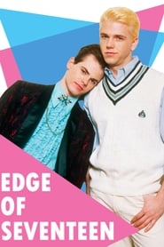 Edge of Seventeen постер