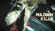 Muldoon Kills
