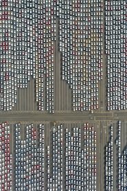 Great Bug 2023 免费无限访问