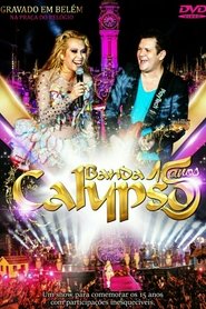 Poster Banda Calypso: 15 Anos 2015
