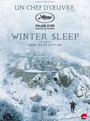 Winter Sleep (2014) 