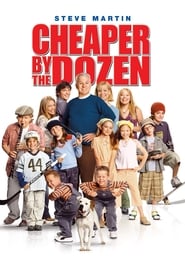 Cheaper by the Dozen 2003 中国香港人满的电影字幕在线剧院流媒体baidu-电影