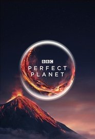 A Perfect Planet 2021
