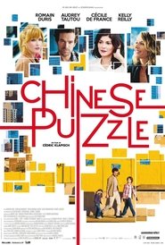 Chinese Puzzle (2013)